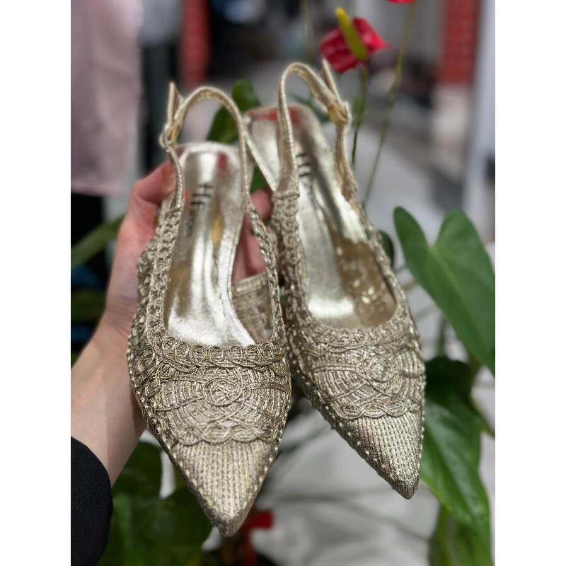 Zapato de Tacón Bajo y Fino