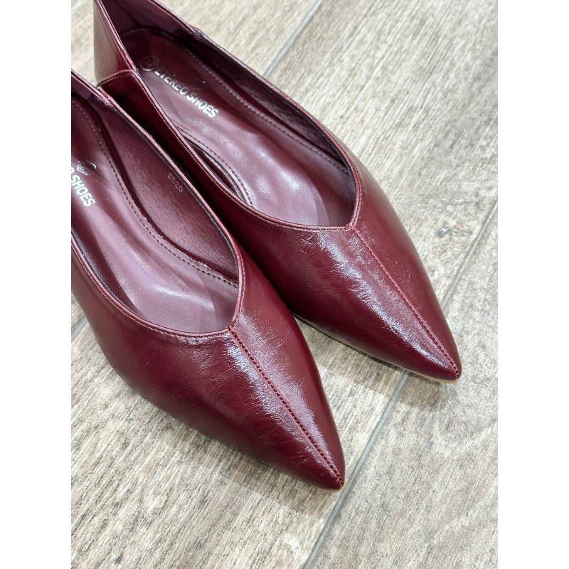 Zapato Femenino Elegante