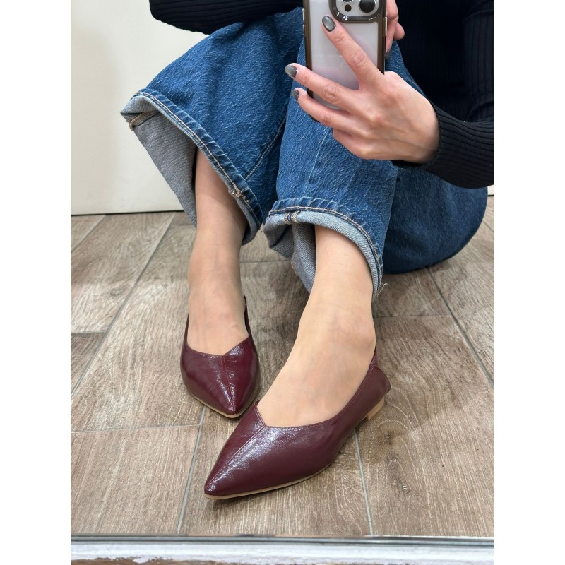 Zapato Femenino Elegante